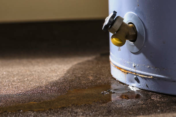 Best Sewage cleanup and water damage restoration  in Glouster, OH