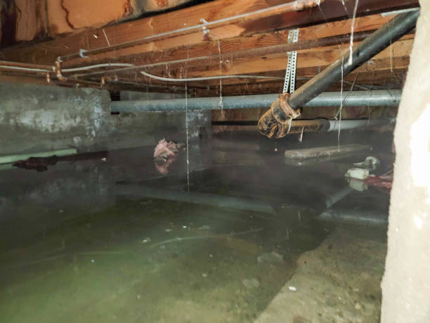 Best Commercial water damage restoration  in Glouster, OH