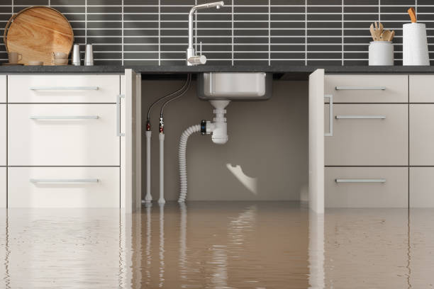 Best Water damage restoration cost  in Glouster, OH