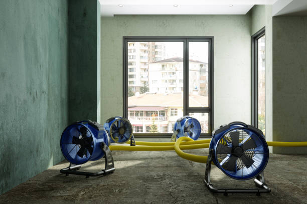 Best Carpet water damage restoration  in Glouster, OH
